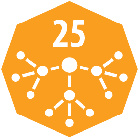 Downline Consultants Icon